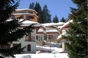 Ski Villa in Pamporovo Forest Pamporovo